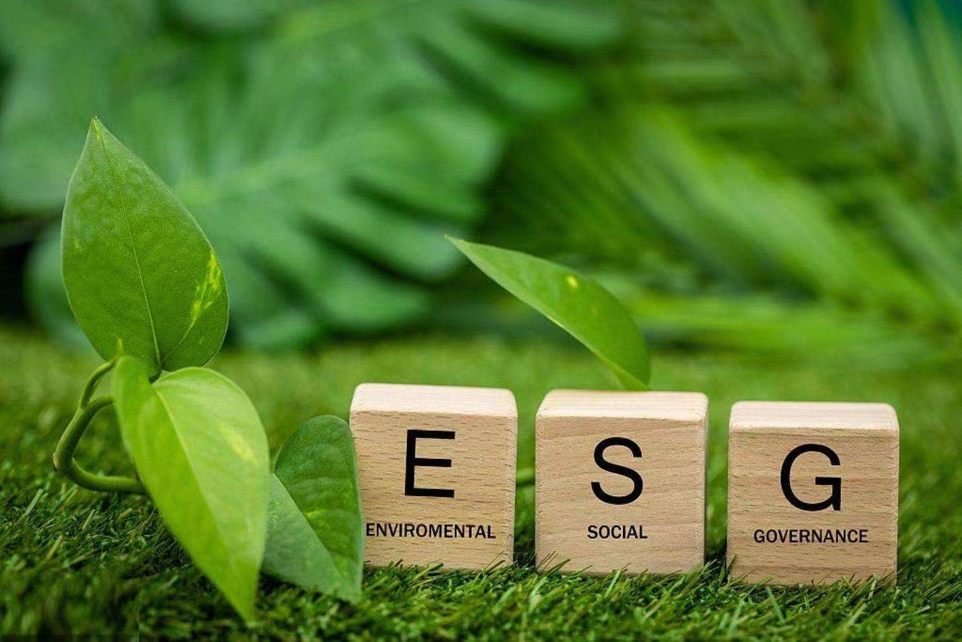 ESG环境信息披露