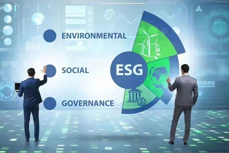 ESG管理顾问服务